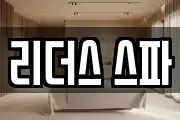 리더스 스파
