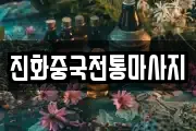 진화중국전통마사지