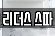 리더스 스파