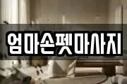 엄마손펫마사지