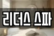 리더스 스파