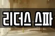 리더스 스파