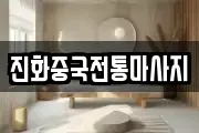 진화중국전통마사지