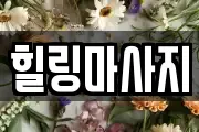 서울 성북구 장위동 마사지, 지압등 업체정보