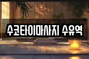수코타이마사지 수유역