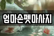 서울 성북구 정릉동 마사지, 지압등 업체정보