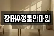 장태수정통안마원