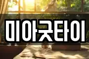 미아굿타이