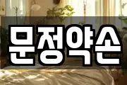 문정약손