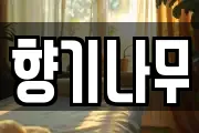 향기나무