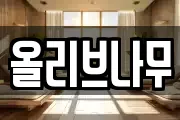 올리브나무