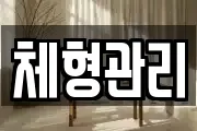 체형관리