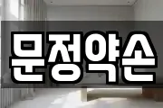 문정약손