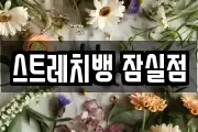 스트레치뱅 잠실점