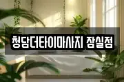서울 송파구 잠실동 마사지, 지압등 업체정보