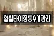 황실타이정통수기관리