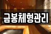 금봉체형관리