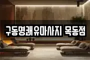 서울 양천구 목동 마사지, 지압등 업체정보