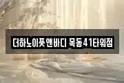 더하노이풋앤바디 목동41타워점