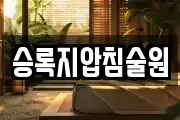 승록지압침술원