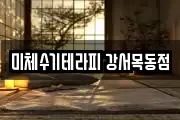 미체수기테라피 강서목동점
