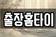 출장홈타이