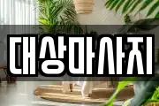 대상마사지