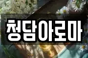 청담아로마