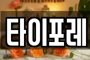 타이포레