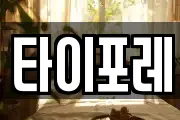 타이포레