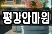 평강안마원
