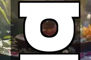 휴