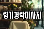 령기경락마사지