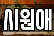 시원애