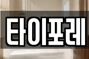 타이포레