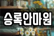 승록안마원
