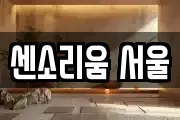 센소리움 서울