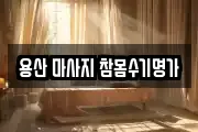 서울 용산구 문배동 마사지, 지압등 업체정보