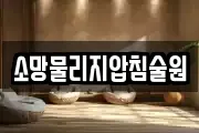 소망물리지압침술원