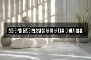 스파라엘 몬드리안호텔점 바이 바디튠 마사지살롱