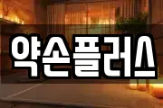 약손플러스