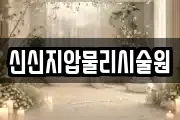 신신지압물리시술원