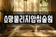 소망물리지압침술원