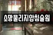 소망물리지압침술원