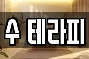 수 테라피