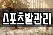 스포츠발관리