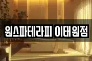 원스파테라피 이태원점