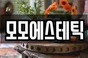 모모에스테틱