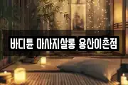 서울 용산구 용산동6가 마사지, 지압등 업체정보