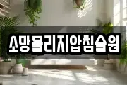 소망물리지압침술원